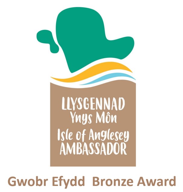 Bronze Ambassador for Wales
