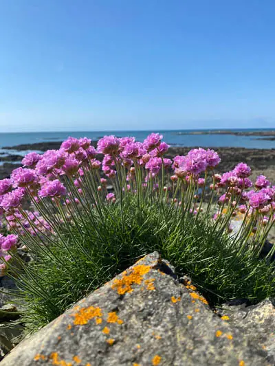 coach trips and excursions around anglesey